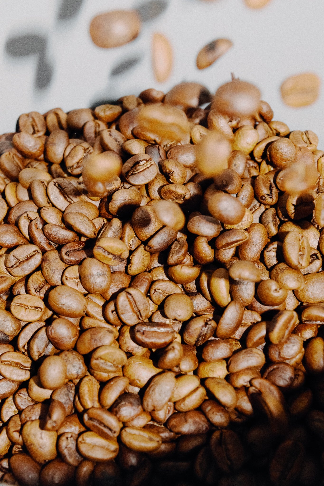 What is Mountain Water Process Decaf? A Coffee Lover’s Guide
