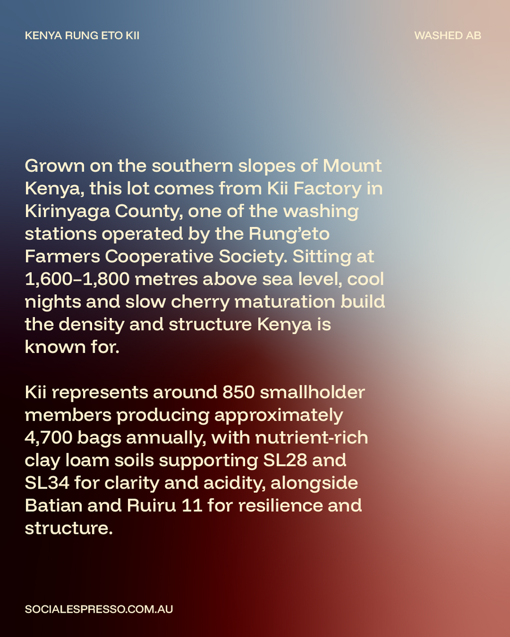 Kenya - Kii Rung’eto Washed AB