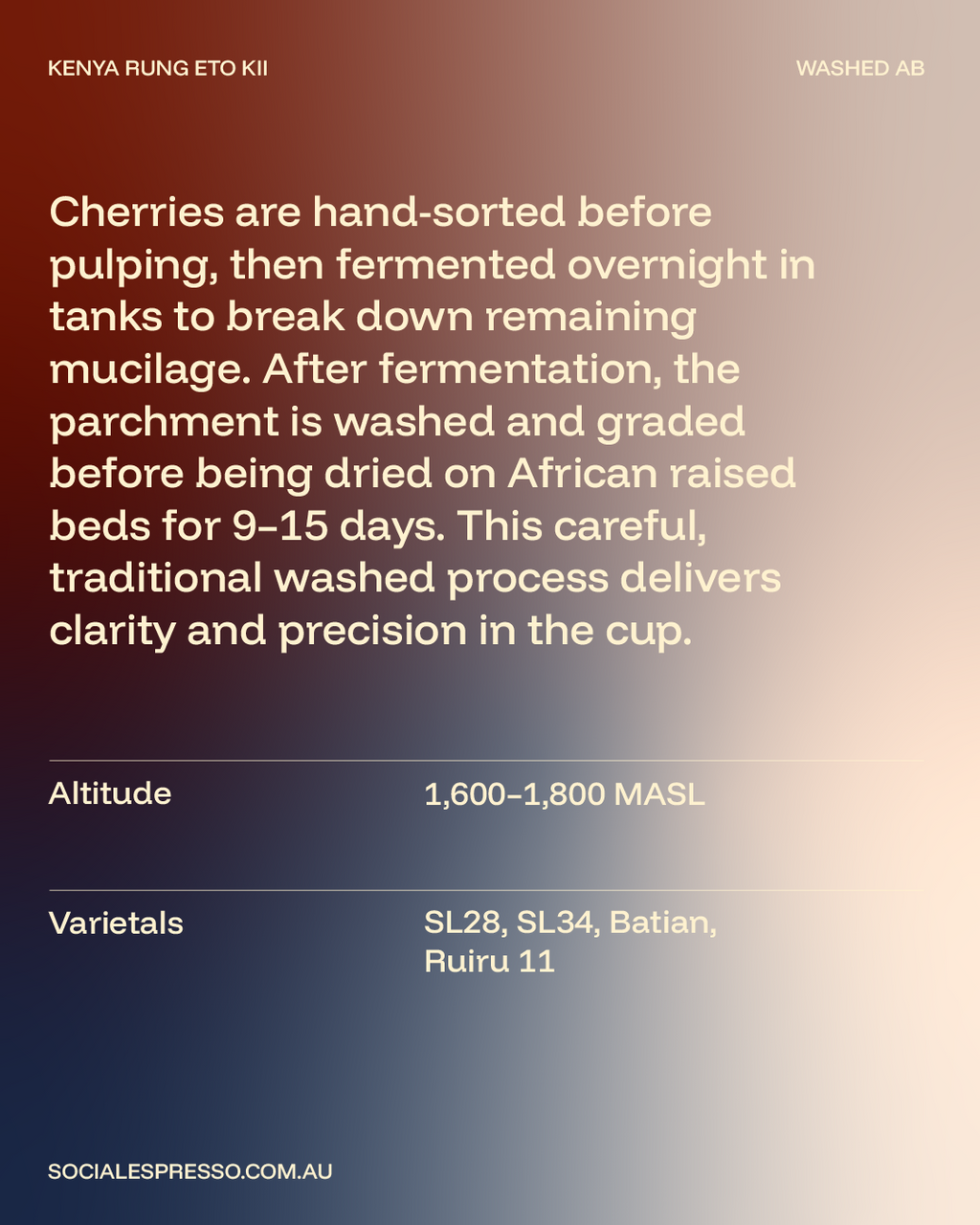 Kenya - Kii Rung’eto Washed AB