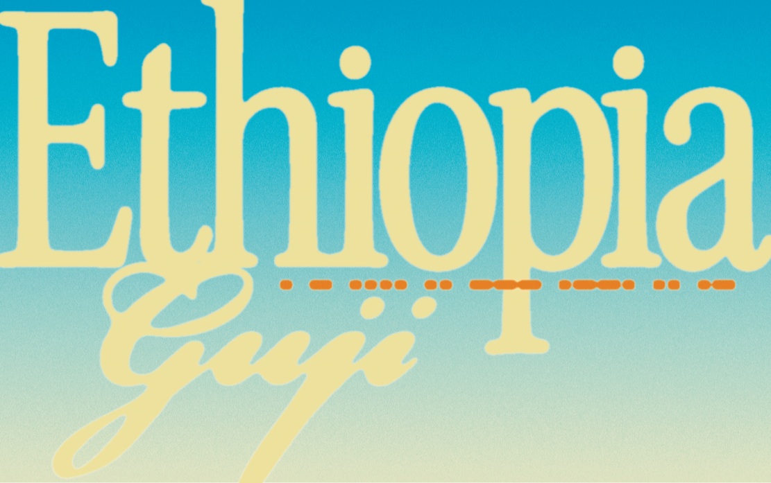 Ethiopia - Guji Hambela [Wine Process]