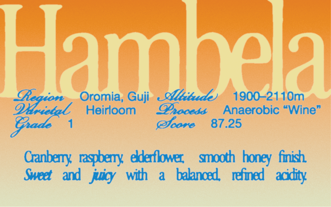 Ethiopia - Guji Hambela [Wine Process]