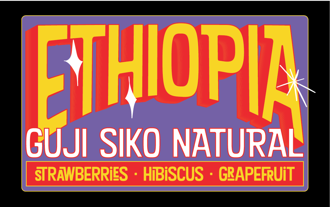 Ethiopia - Guji Siko Uraga Natural Grade 1