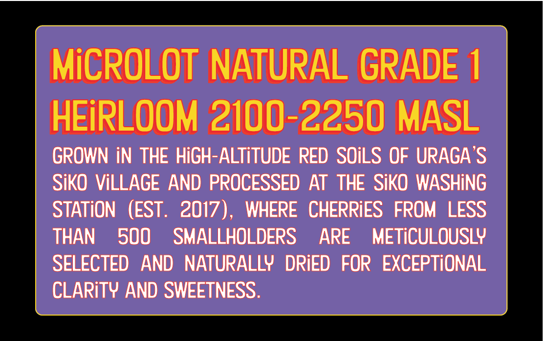 Ethiopia - Guji Siko Uraga Natural Grade 1