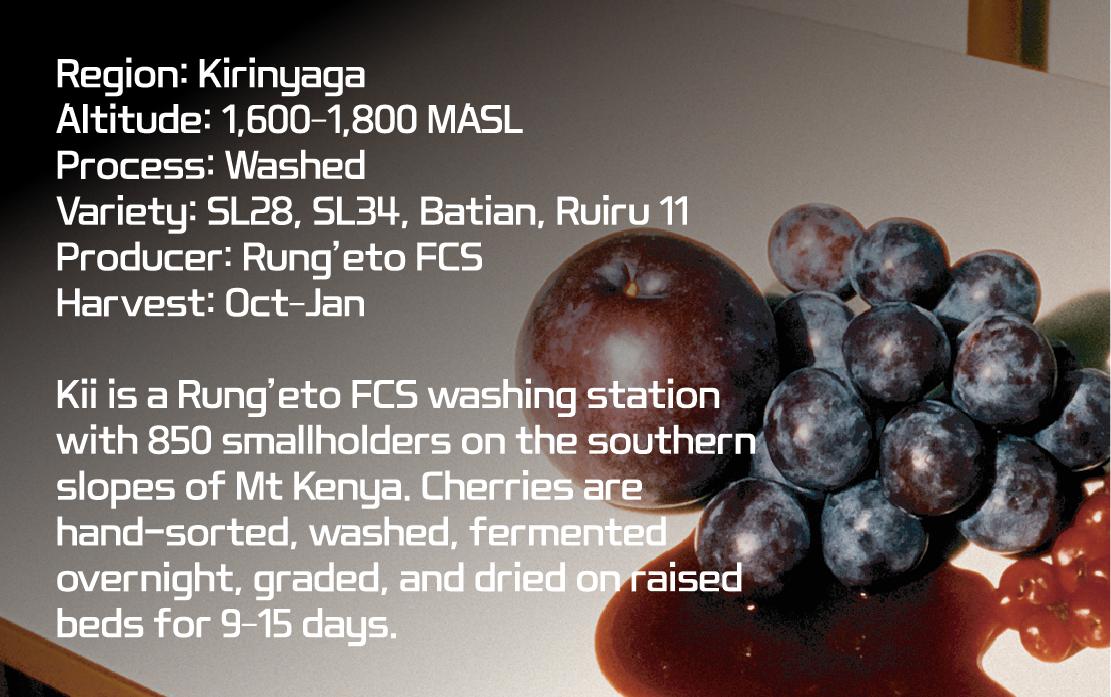 Kenya - Kii Rung’eto Washed AB