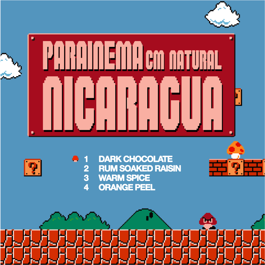 Nicaragua - Parainema CM Natural